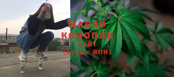 индика Баксан