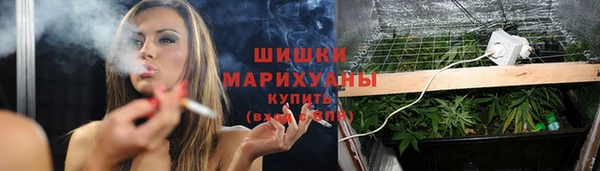 индика Баксан