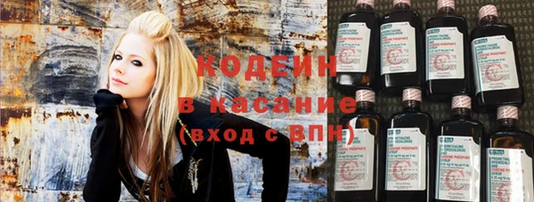 индика Баксан