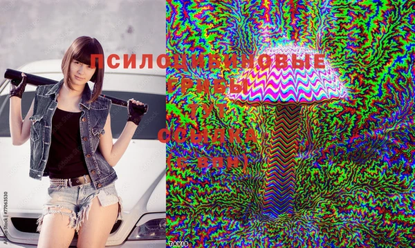прущая мука Балахна