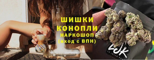 индика Баксан