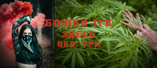 индика Баксан