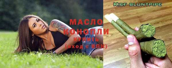 индика Баксан