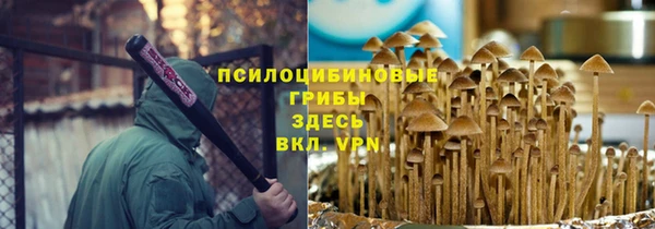индика Баксан